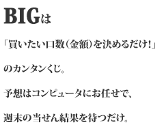 BIǴuizj߂邾IṽJ^B\z̓Rs[^ɂCŁAT̓񌋉ʂ҂B