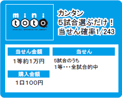 mini toto J^5IԂIm1/243
